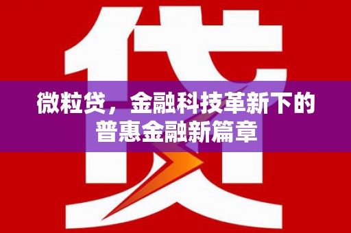 赫山微粒贷，金融科技革新下的普惠金融新篇章