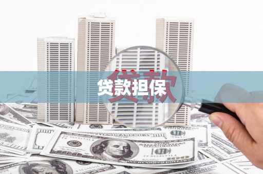 赫山贷款担保