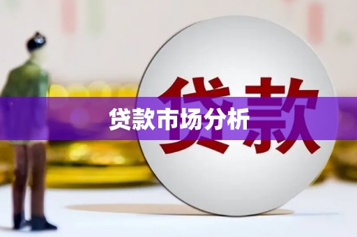 赫山贷款市场分析