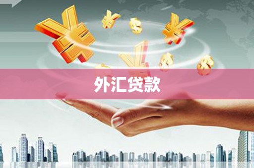 赫山外汇贷款