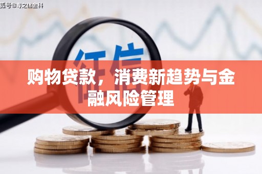 赫山购物贷款，消费新趋势与金融风险管理
