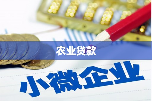 赫山农业贷款