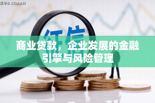 赫山商业贷款，企业发展的金融引擎与风险管理
