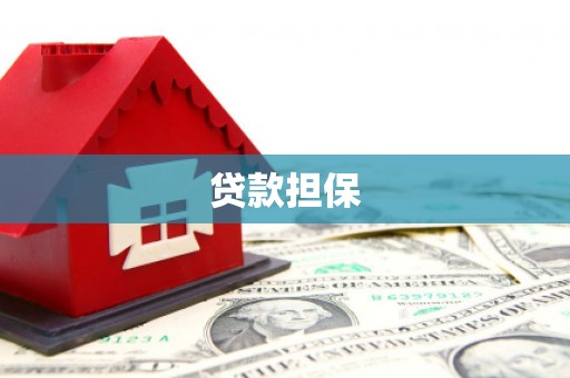 赫山贷款担保