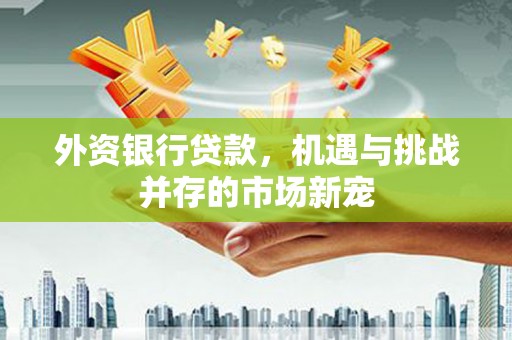 赫山外资银行贷款，机遇与挑战并存的市场新宠