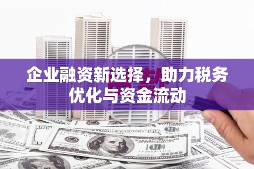 赫山企业融资新选择，助力税务优化与资金流动
