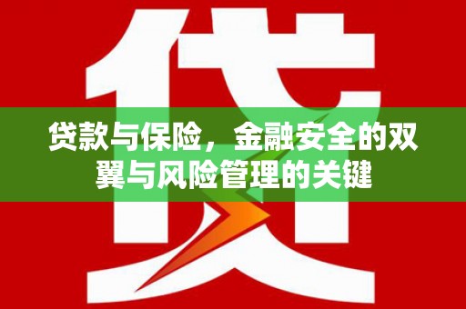 赫山贷款与保险，金融安全的双翼与风险管理的关键