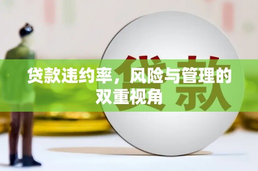 赫山贷款违约率，风险与管理的双重视角