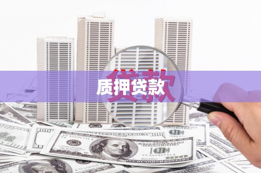 赫山质押贷款
