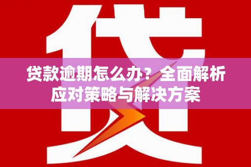赫山贷款逾期怎么办？全面解析应对策略与解决方案