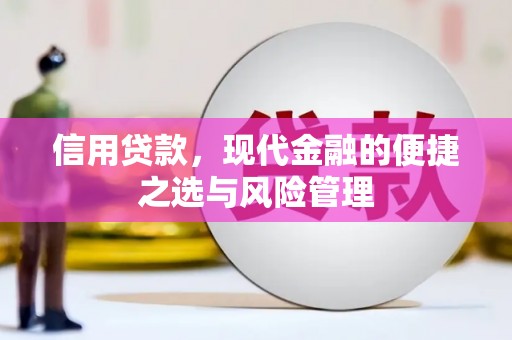 赫山信用贷款，现代金融的便捷之选与风险管理