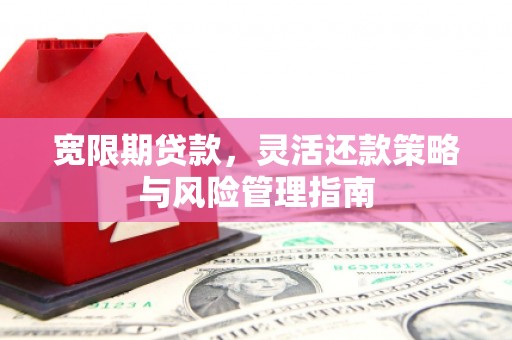 赫山宽限期贷款，灵活还款策略与风险管理指南