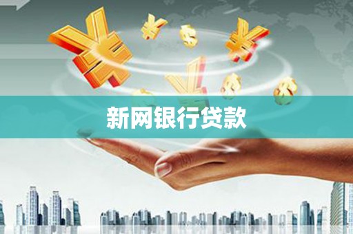 赫山新网银行贷款