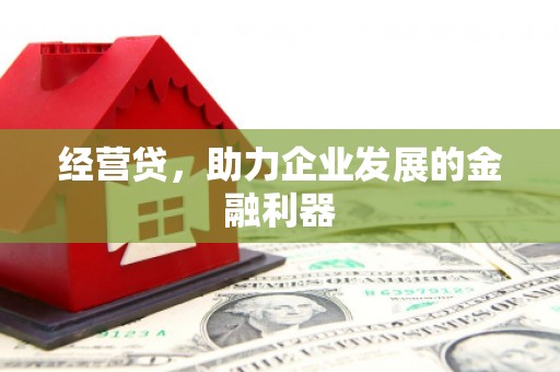 赫山经营贷，助力企业发展的金融利器
