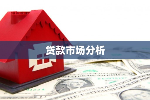 赫山贷款市场分析