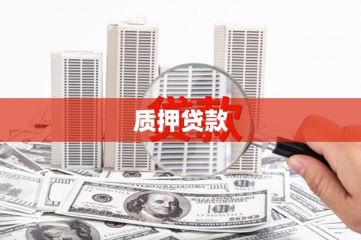 赫山质押贷款