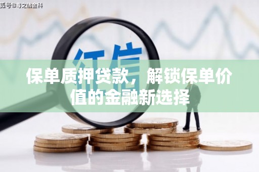 赫山保单质押贷款，解锁保单价值的金融新选择