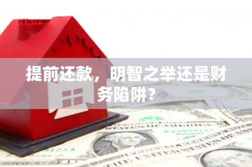 赫山提前还款，明智之举还是财务陷阱？