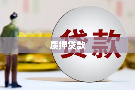 赫山质押贷款