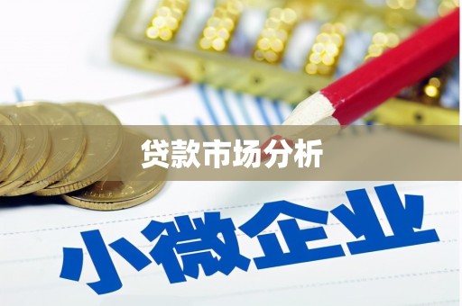 赫山贷款市场分析