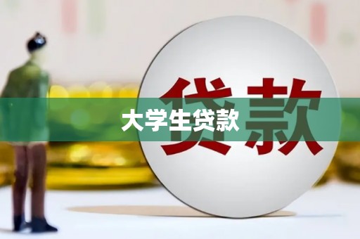 赫山大学生贷款