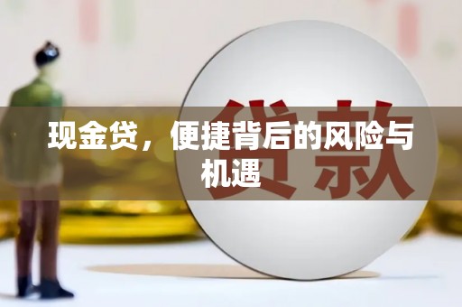 赫山现金贷，便捷背后的风险与机遇