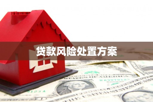赫山贷款风险处置方案