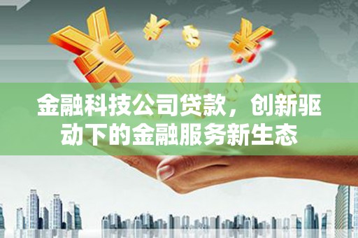 赫山金融科技公司贷款，创新驱动下的金融服务新生态