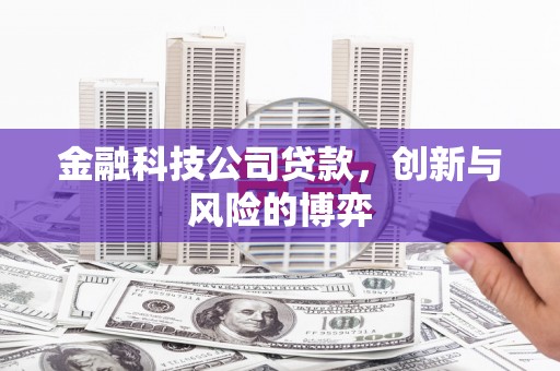 赫山金融科技公司贷款，创新与风险的博弈
