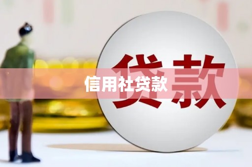 赫山信用社贷款