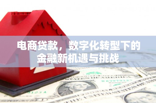 赫山电商贷款，数字化转型下的金融新机遇与挑战