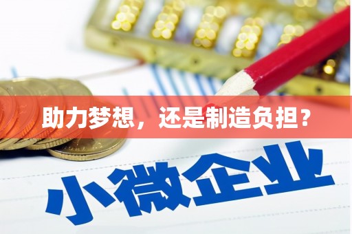 赫山助力梦想，还是制造负担？
