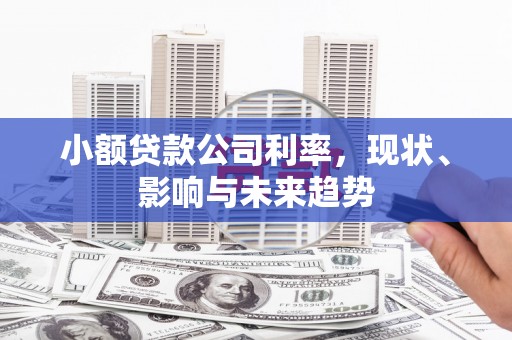 赫山小额贷款公司利率，现状、影响与未来趋势