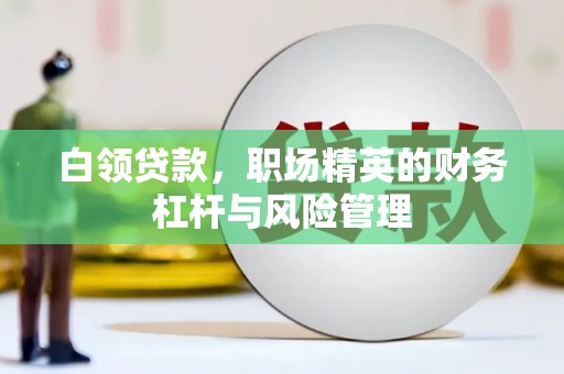 赫山白领贷款，职场精英的财务杠杆与风险管理