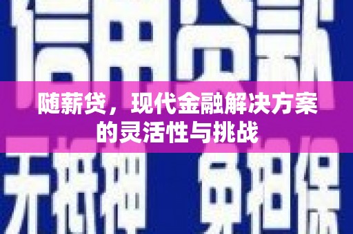 赫山随薪贷，现代金融解决方案的灵活性与挑战