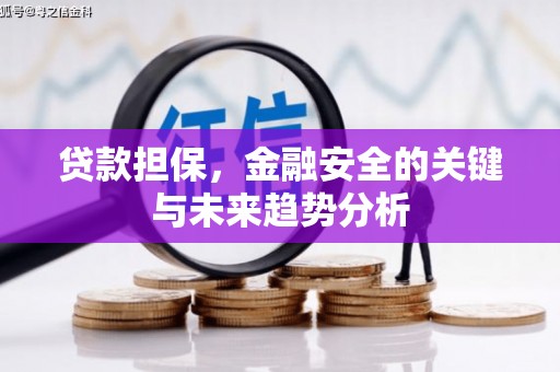 赫山贷款担保，金融安全的关键与未来趋势分析