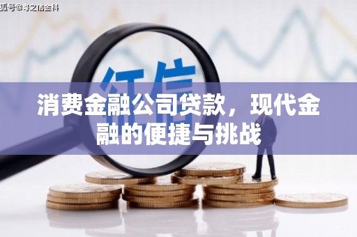 赫山消费金融公司贷款，现代金融的便捷与挑战