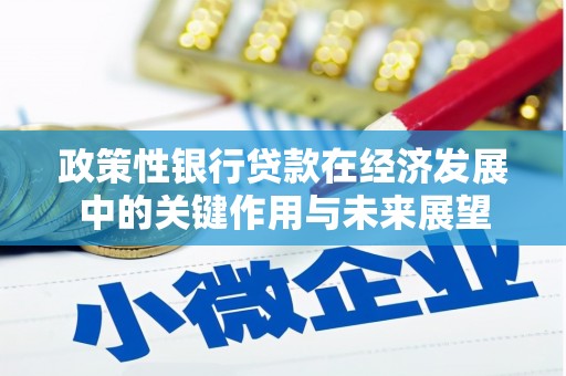 赫山政策性银行贷款在经济发展中的关键作用与未来展望