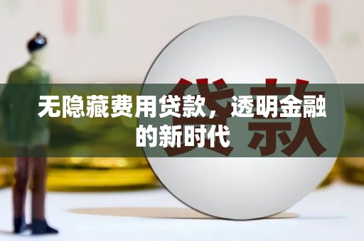 赫山无隐藏费用贷款，透明金融的新时代