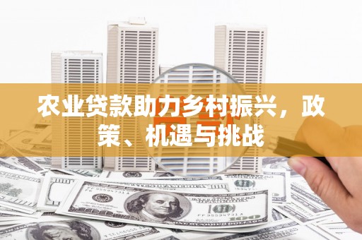 赫山农业贷款助力乡村振兴，政策、机遇与挑战