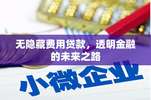 赫山无隐藏费用贷款，透明金融的未来之路