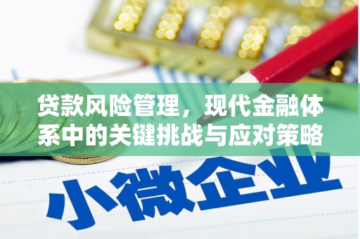 赫山贷款风险管理，现代金融体系中的关键挑战与应对策略