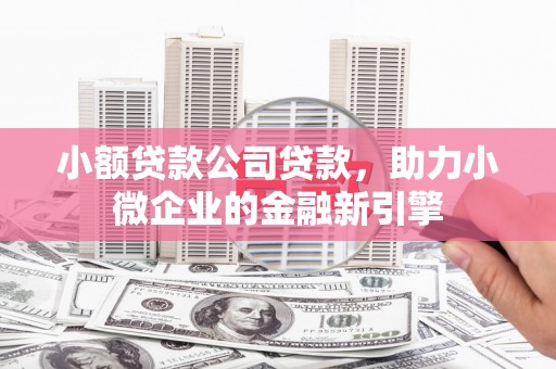 赫山小额贷款公司贷款，助力小微企业的金融新引擎