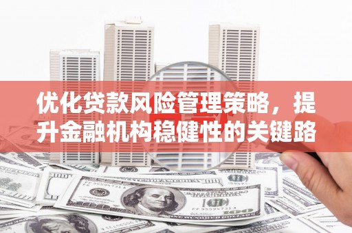赫山优化贷款风险管理策略，提升金融机构稳健性的关键路径
