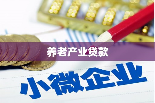 赫山养老产业贷款