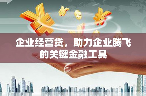 赫山企业经营贷，助力企业腾飞的关键金融工具