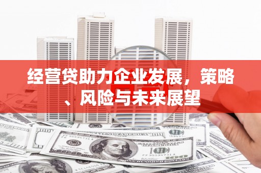 赫山经营贷助力企业发展，策略、风险与未来展望