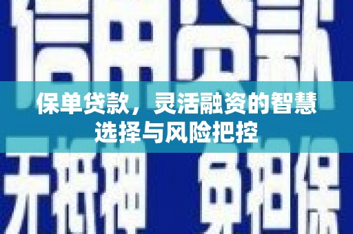 赫山保单贷款，灵活融资的智慧选择与风险把控