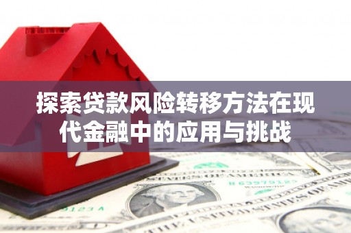 赫山探索贷款风险转移方法在现代金融中的应用与挑战