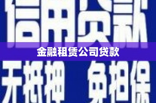 赫山金融租赁公司贷款